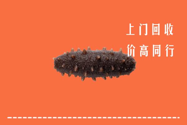 益阳回收海参